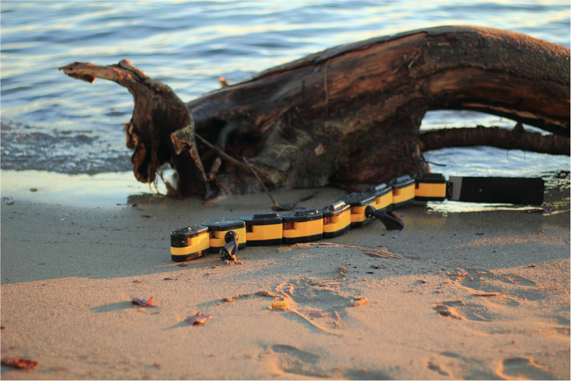Illustration for article titled Este robot-salamandra es capaz de nadar, reptar y caminar como los anfibios